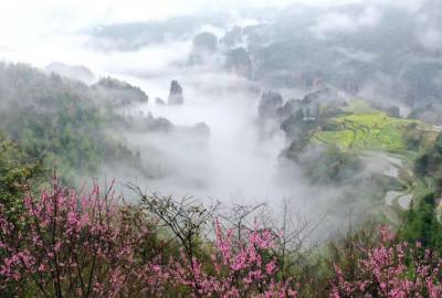 候鳥的選擇，彰顯湖南生態(tài)系統(tǒng)持續(xù)優(yōu)化